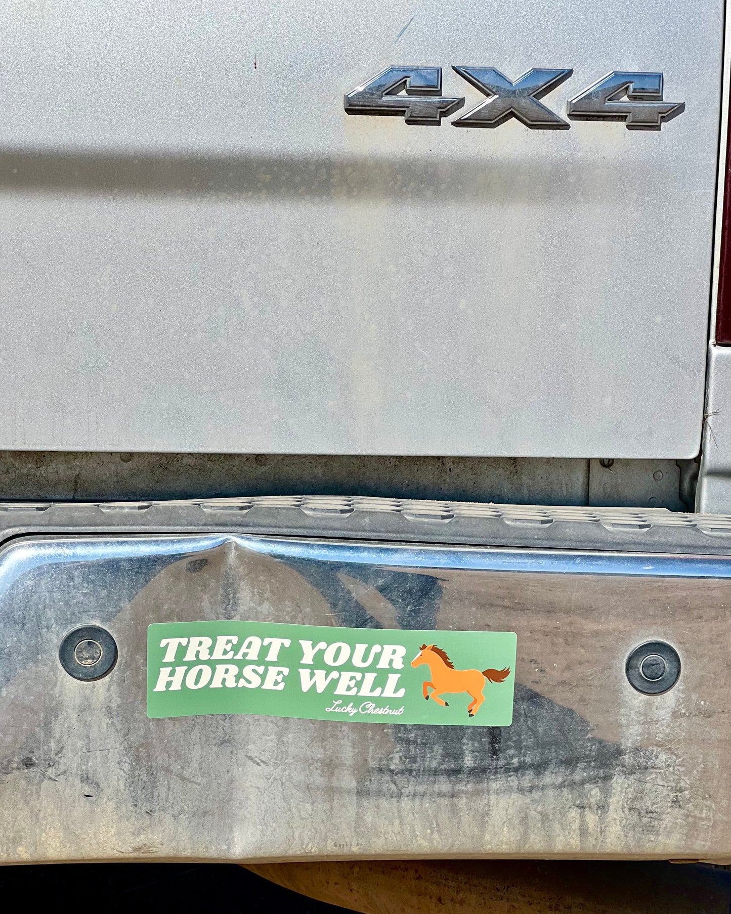 Treat Your Horse Well Bumper Sticker