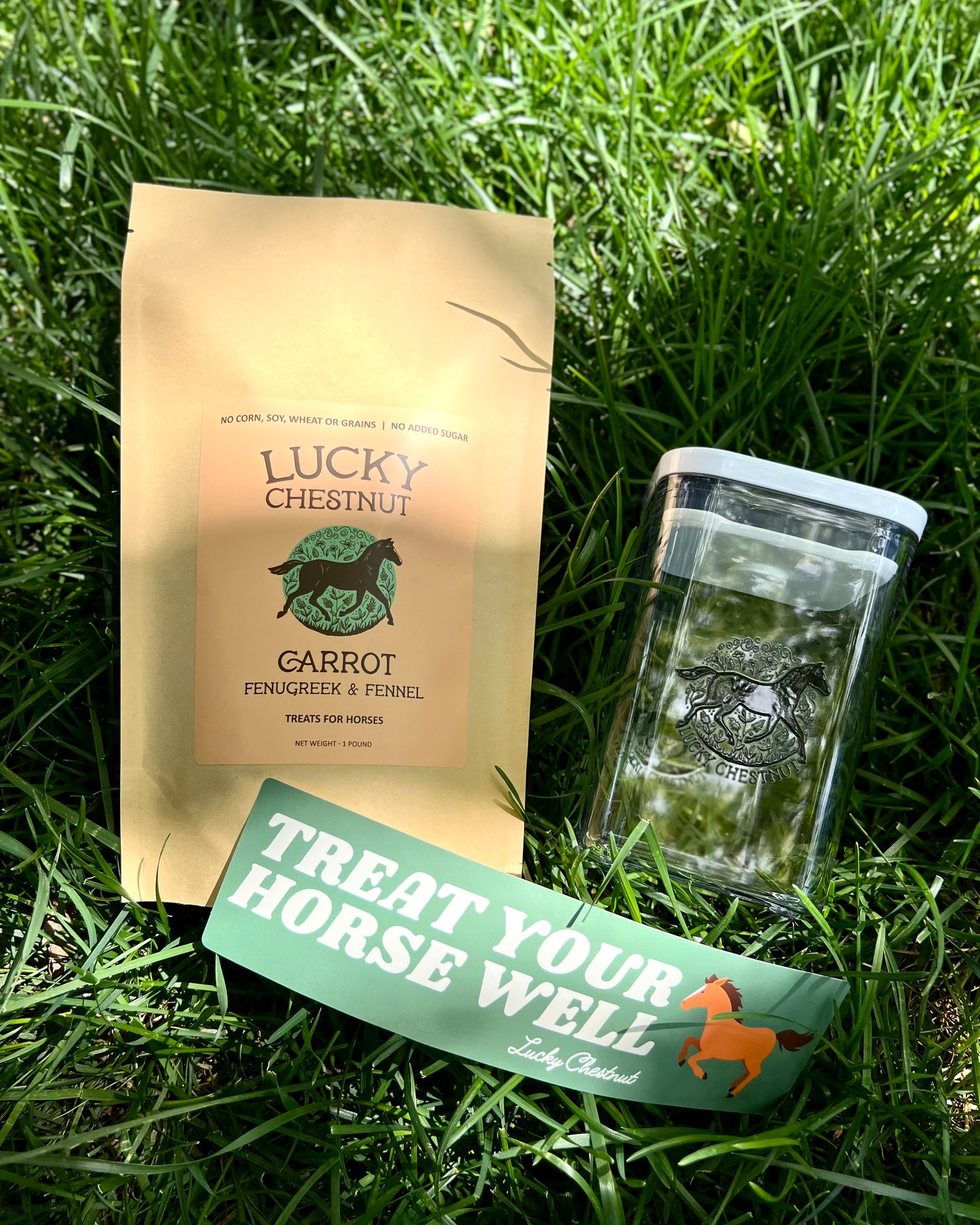 Lucky Chestnut starter bundle with Carrot, Fenugreek and Fennel horse treats, a clear treat container, and a Treat Your Horse Well bumper sticker, photographed in green grass.