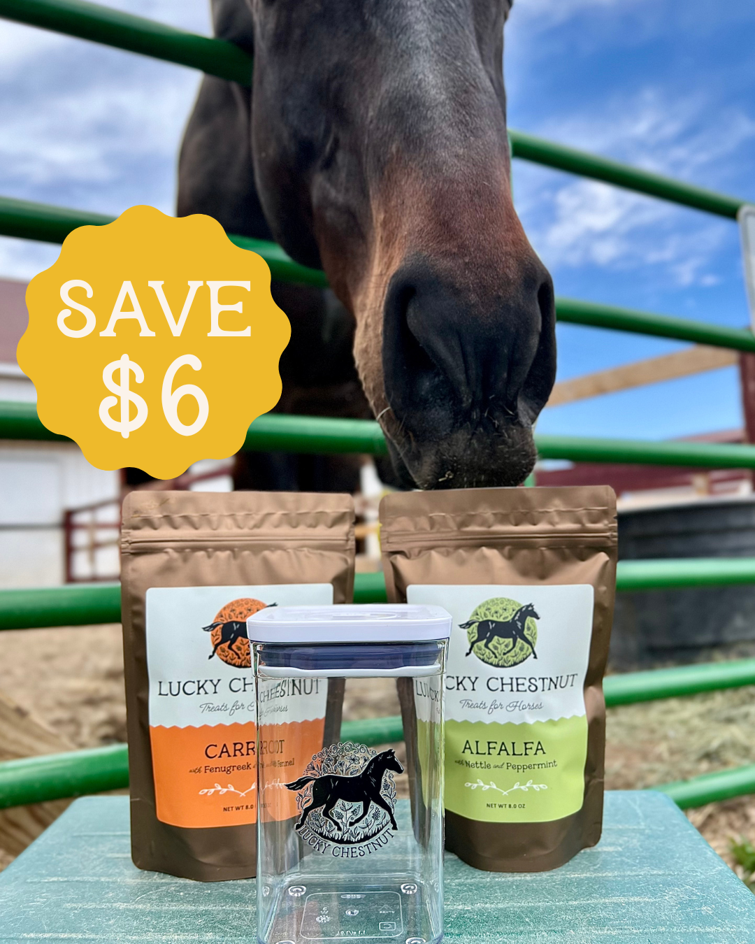 Horse sniffs Lucky Chestnut treat bundle with carrot and alfalfa flavors and a clear treat container. Text overlay says Save $6.