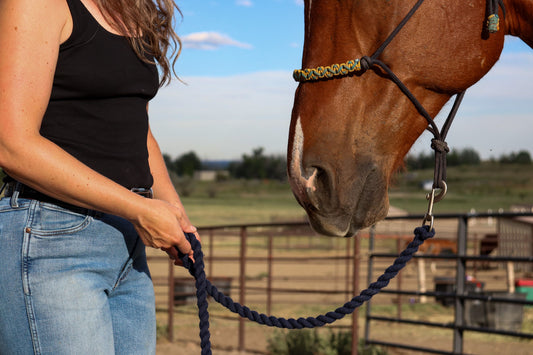 The Benefits of Fiber Rich Horse Treats