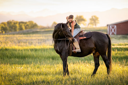 Why Your Horse Accepting a Treat Is One of the Most Meaningful Things They Can Do