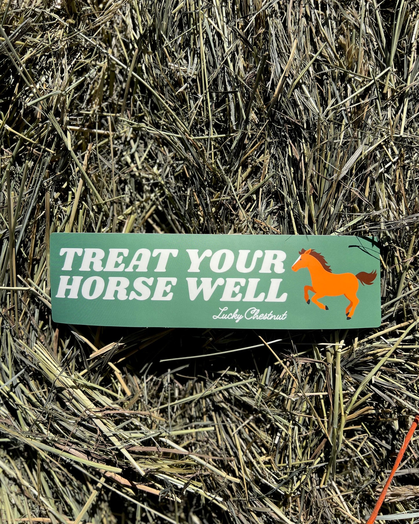 Treat Your Horse Well Bumper Sticker