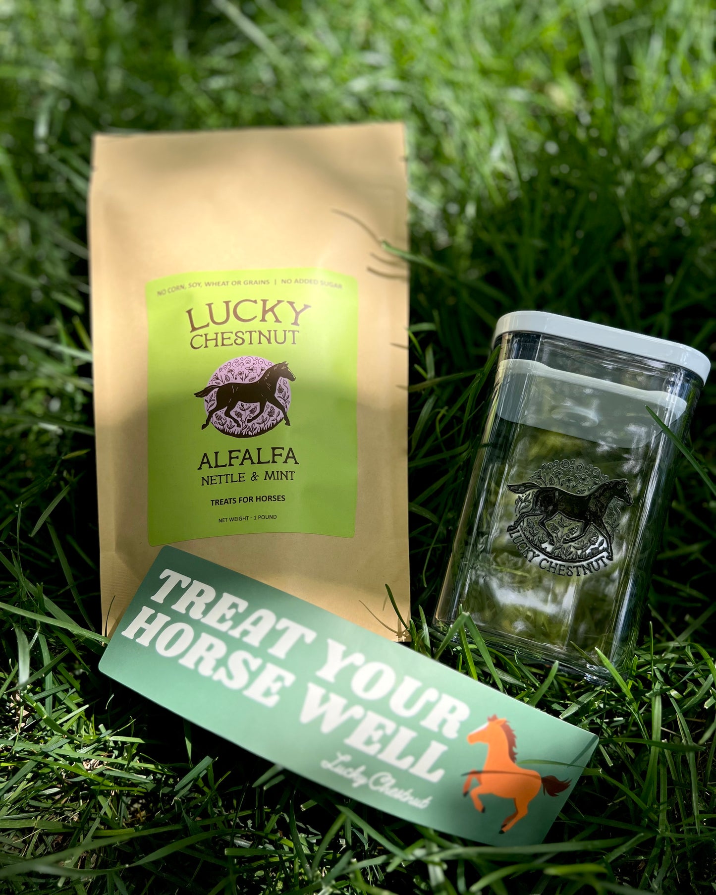 Lucky Chestnut starter bundle with Alfalfa horse treats, a clear treat container, and a Treat Your Horse Well bumper sticker, photographed in green grass.