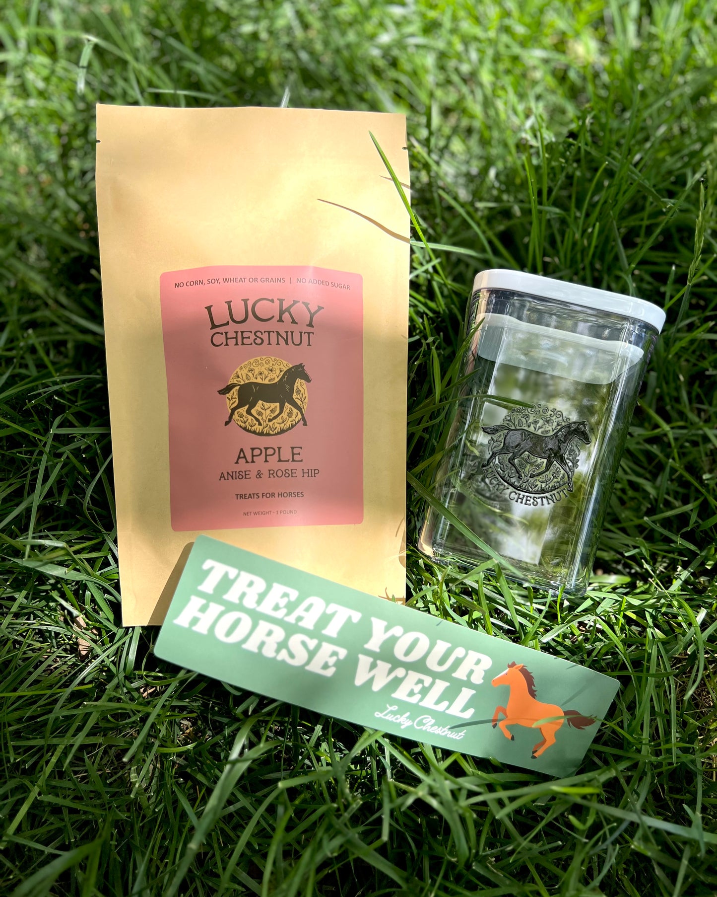 Lucky Chestnut starter bundle with Apple, Anise and Rose Hip horse treats, a clear treat container, and a Treat Your Horse Well bumper sticker, photographed in green grass.