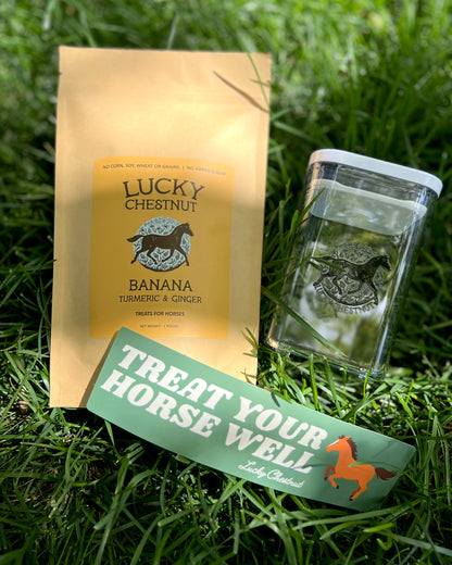 Lucky Chestnut starter bundle with Banana, Turmeric and Ginger horse treats, a clear treat container, and a Treat Your Horse Well bumper sticker, photographed in green grass.