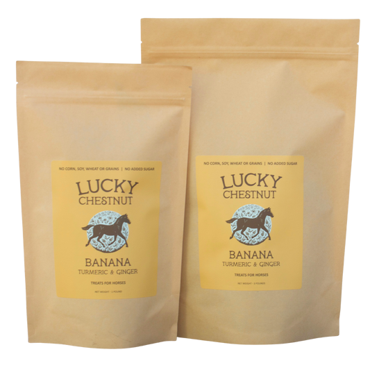 Banana with Turmeric + Ginger Horse Treats