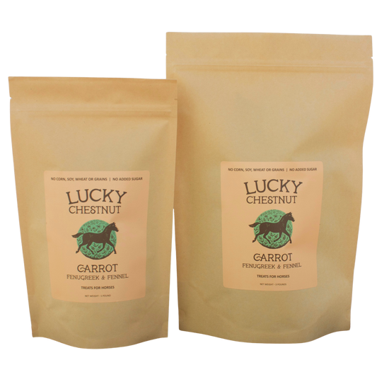 Carrot with Fenugreek + Fennel Horse Treats