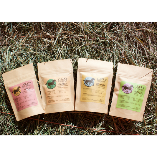 Horse Treat Tasting Bundle